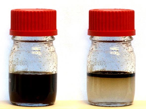 水中の軽質原油（5%）
左：振った直後(混濁状態)
右：5分後(分離状態)