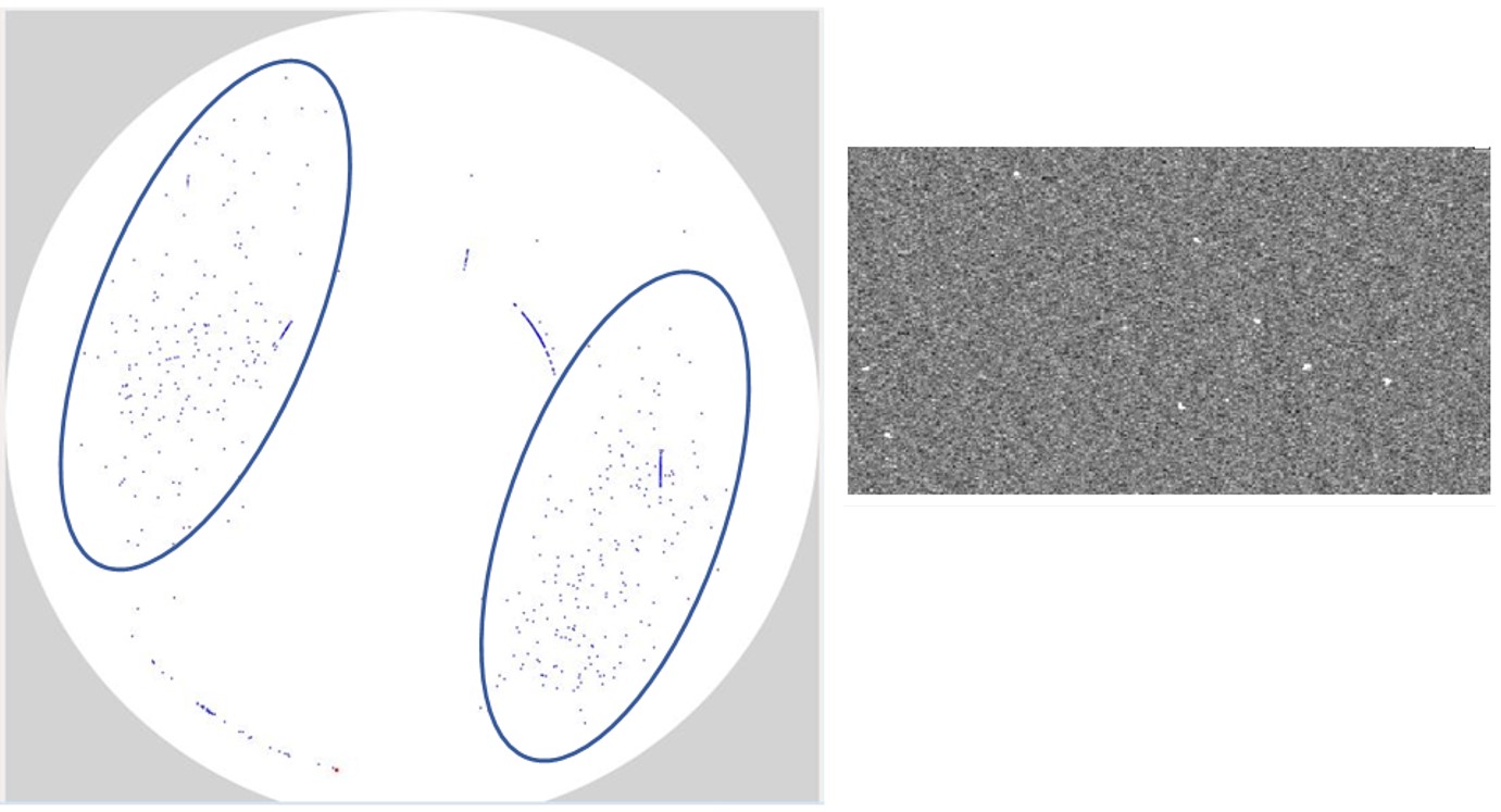 ガラス基板での表面の粒子PSL球体でのセンシング画像