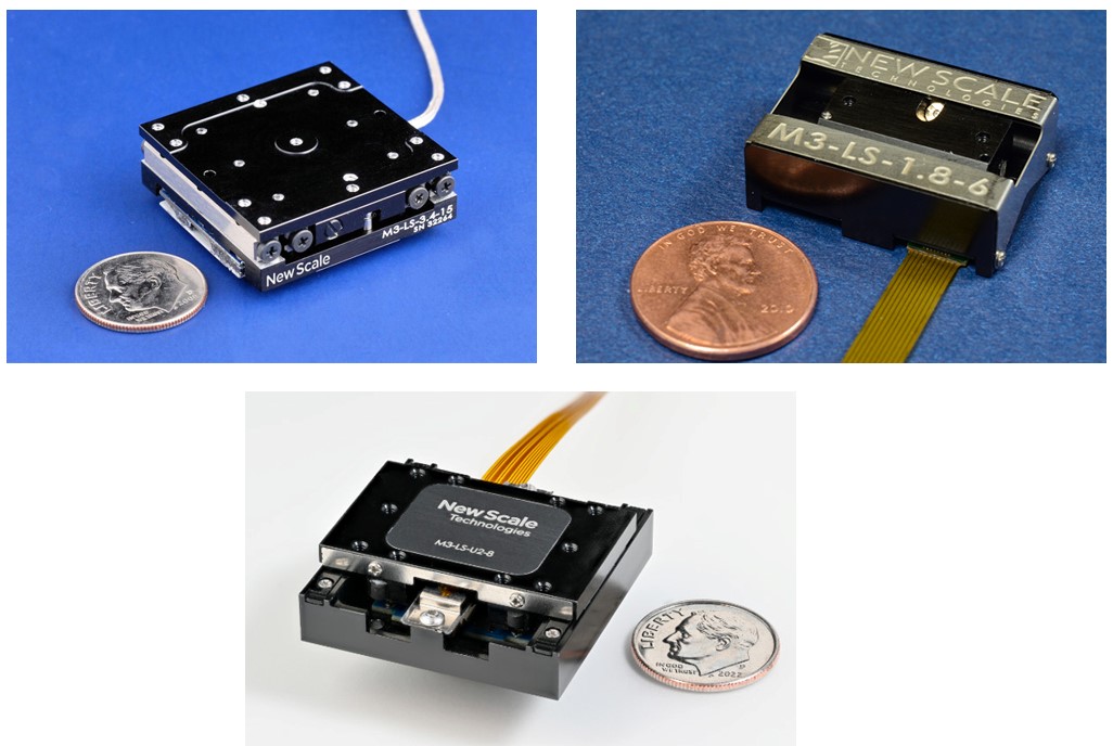 神経系モビライゼーション （全4枚セット）ME163-S 楽天市場】神経系  