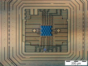PDA-23_microarray_chip__small