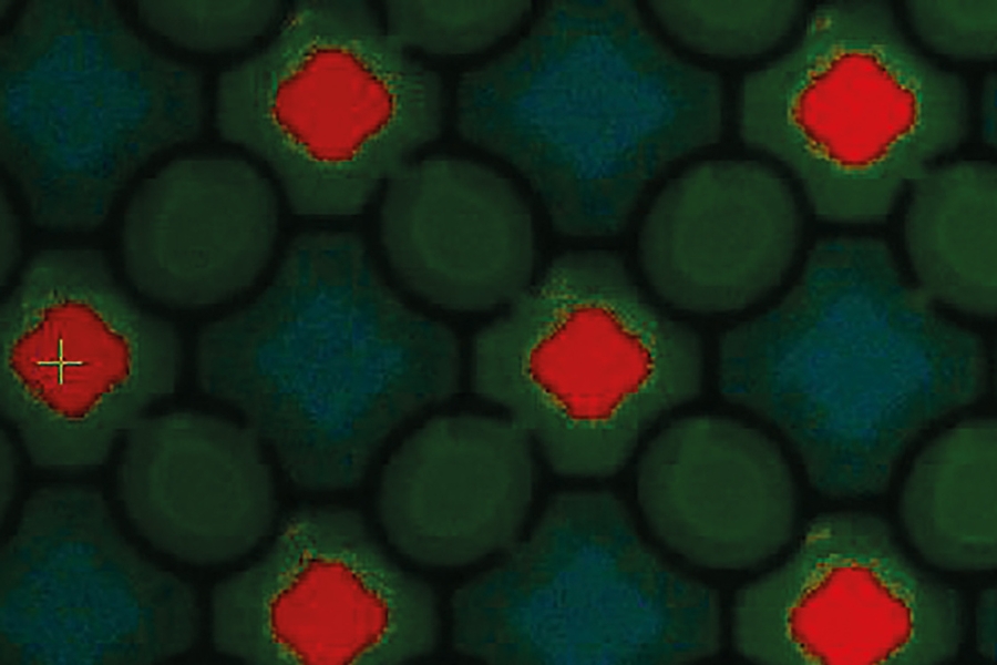 PicoQuant TRPLimaging led