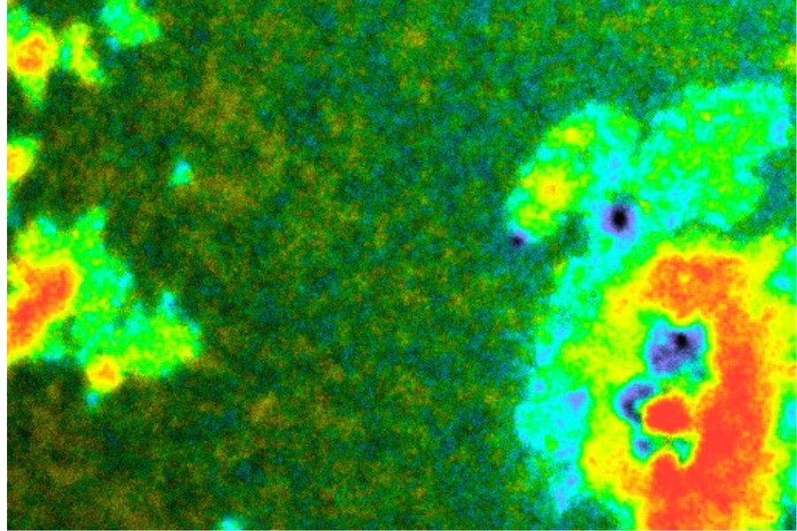 PicoQuant perovskites