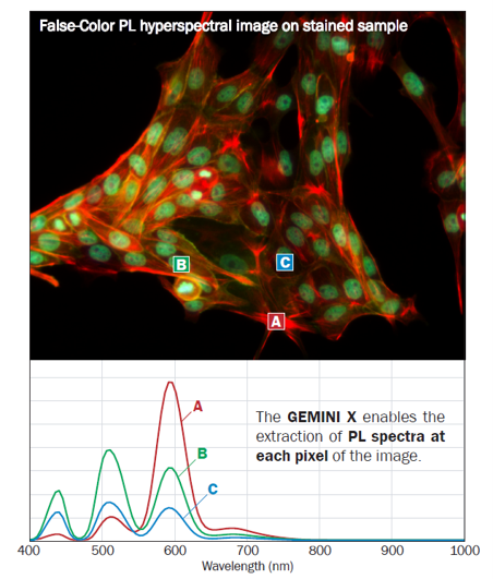 NIREOS_False-Color-PL-hyperspectral-image-on-stained-sample