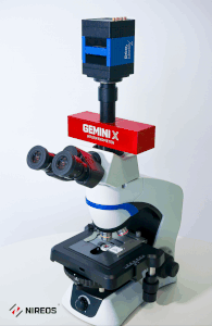 NIREOS GEMINI-X